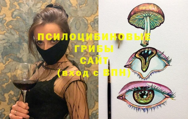 a pvp Богородицк