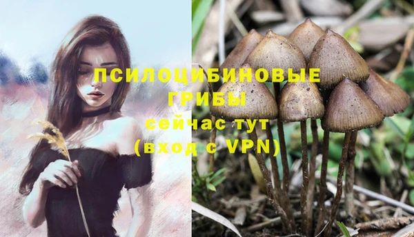 a pvp Богородицк