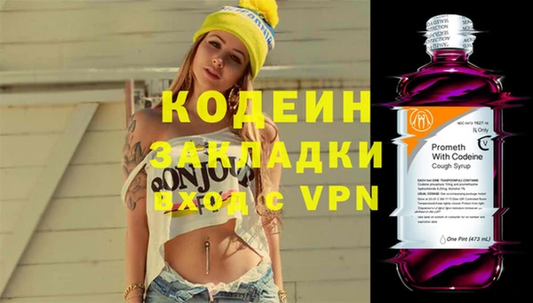 спиды Богданович